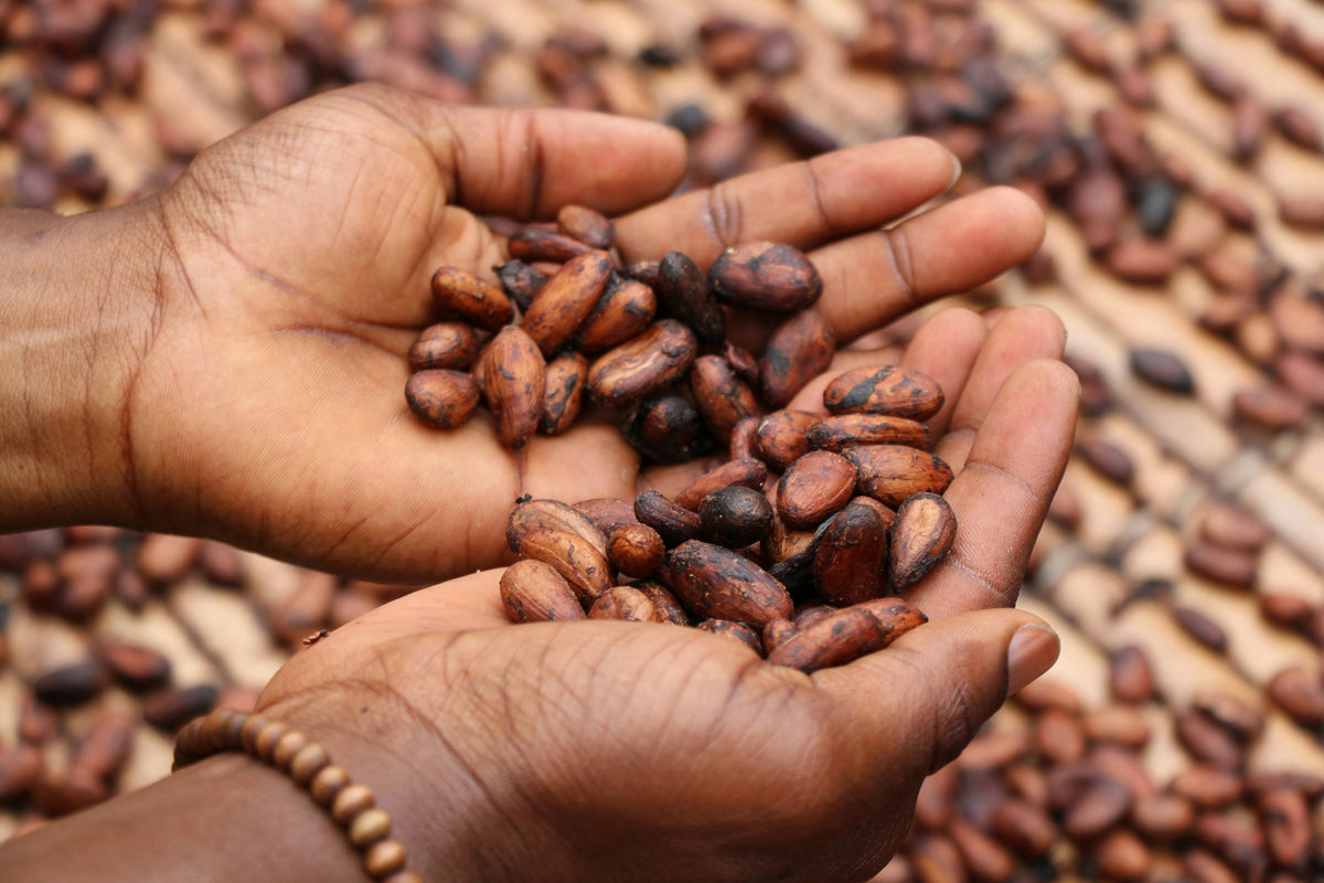 Bean-to-Bar, Actually: From Pod to 115g
