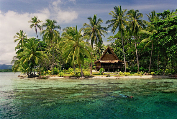 Pacific cacao, named: Papua New Guinea, Solomon Islands, and Vanuatu