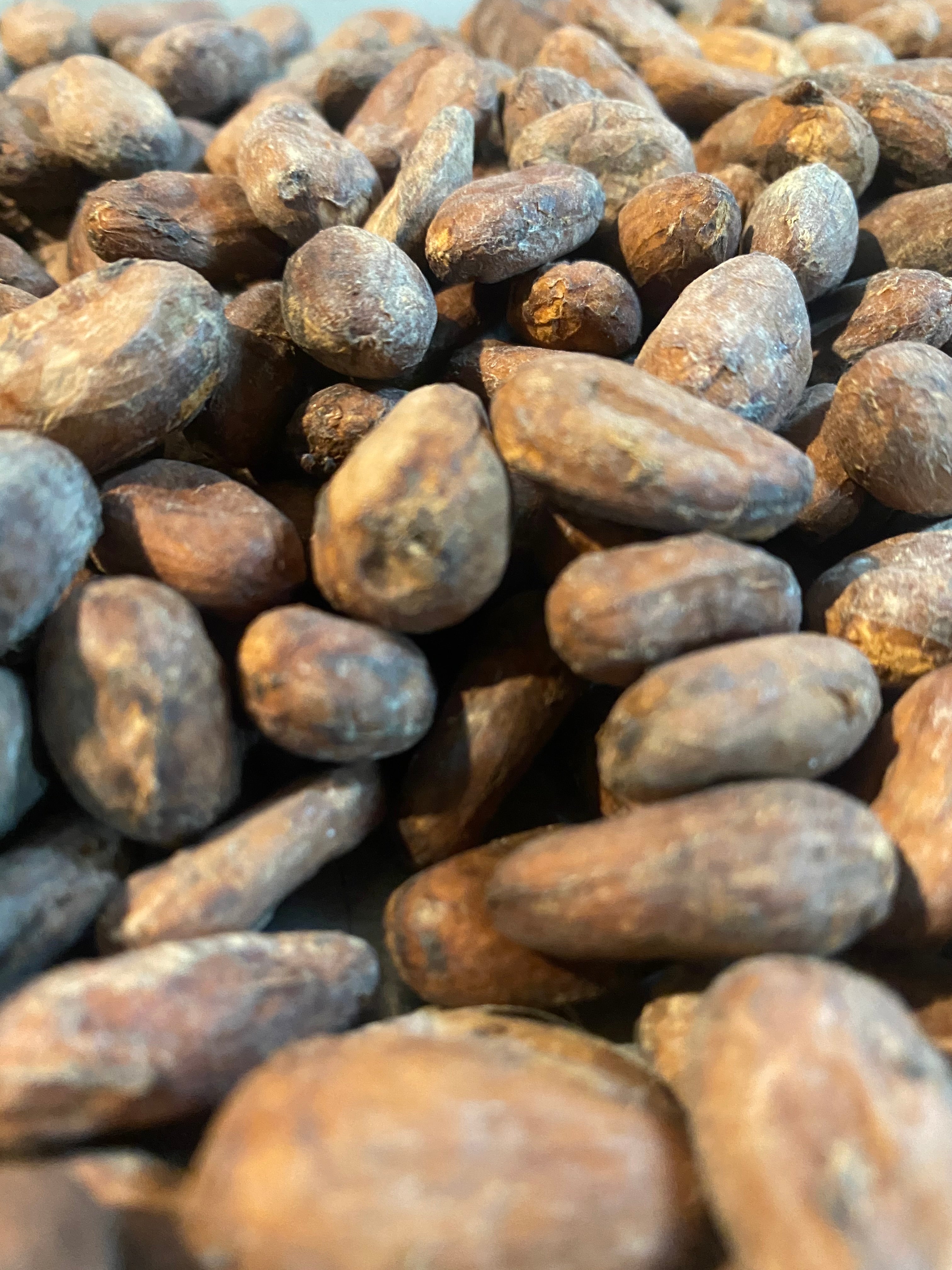 Roasted Cacao Snack Beans